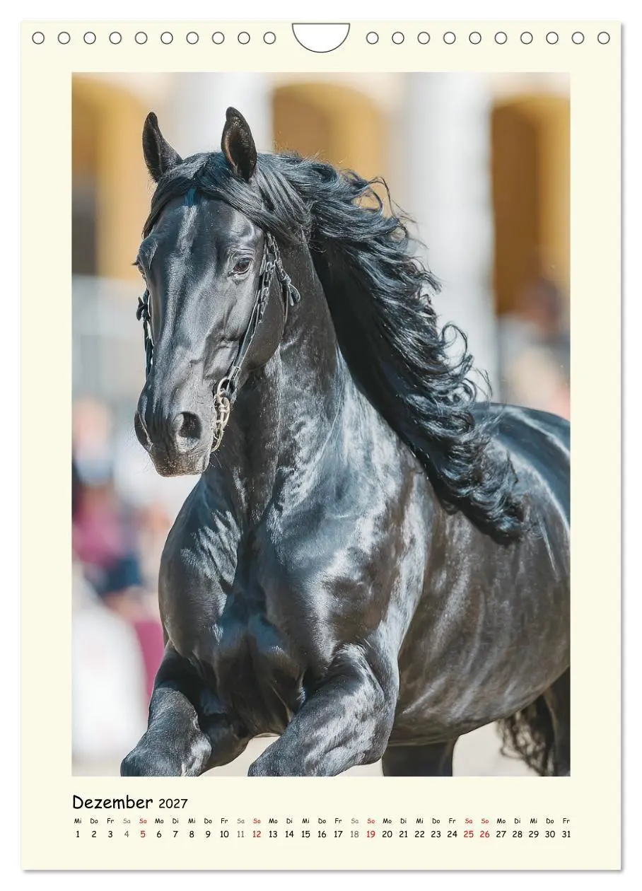 Bild: 9783516758382 | Barockpferde. Stolz, Kraft und klassische Harmonie (Wandkalender...