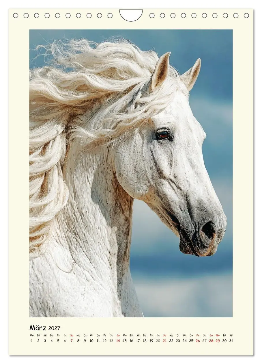 Bild: 9783516758382 | Barockpferde. Stolz, Kraft und klassische Harmonie (Wandkalender...