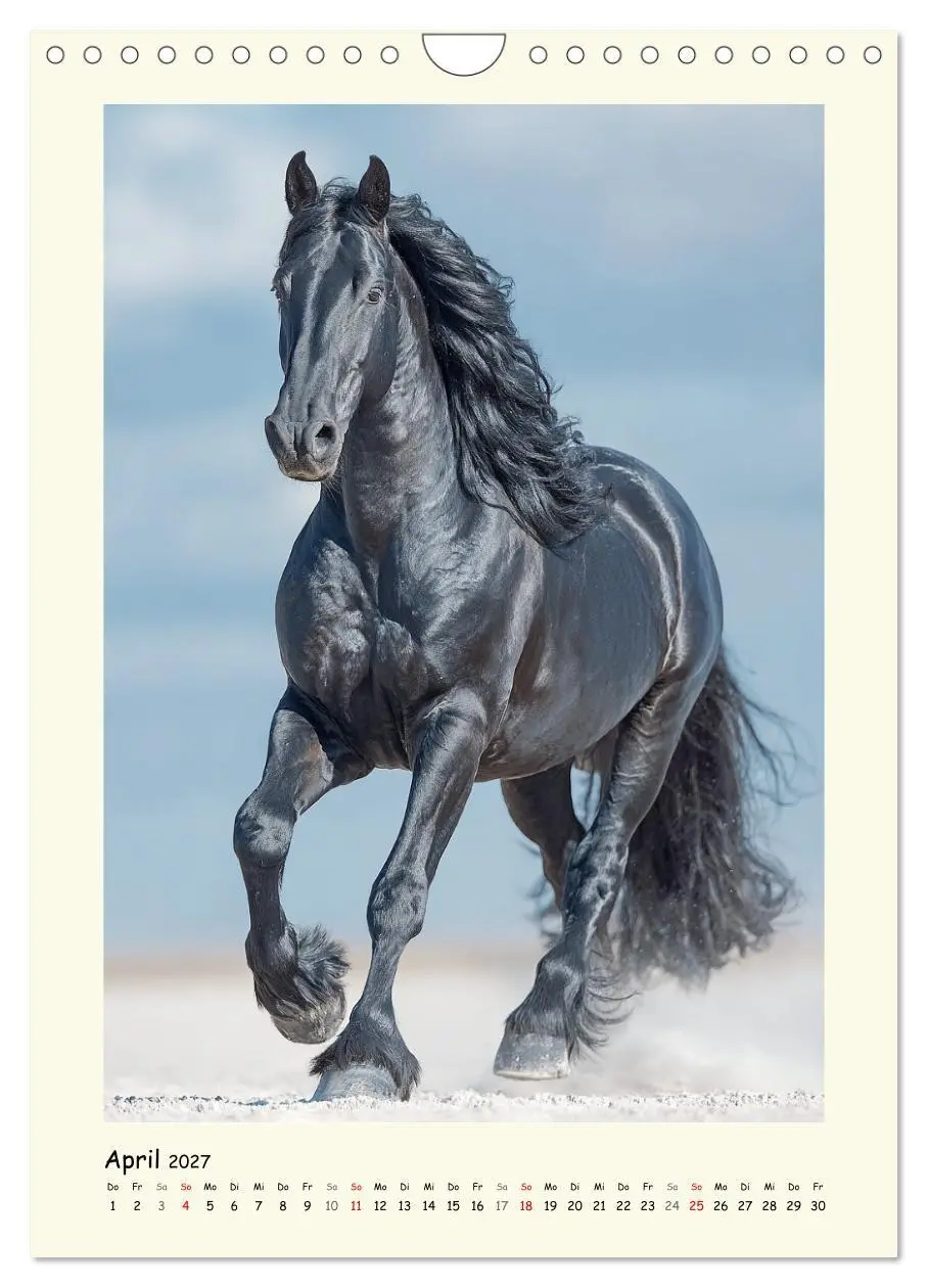 Bild: 9783516758382 | Barockpferde. Stolz, Kraft und klassische Harmonie (Wandkalender...