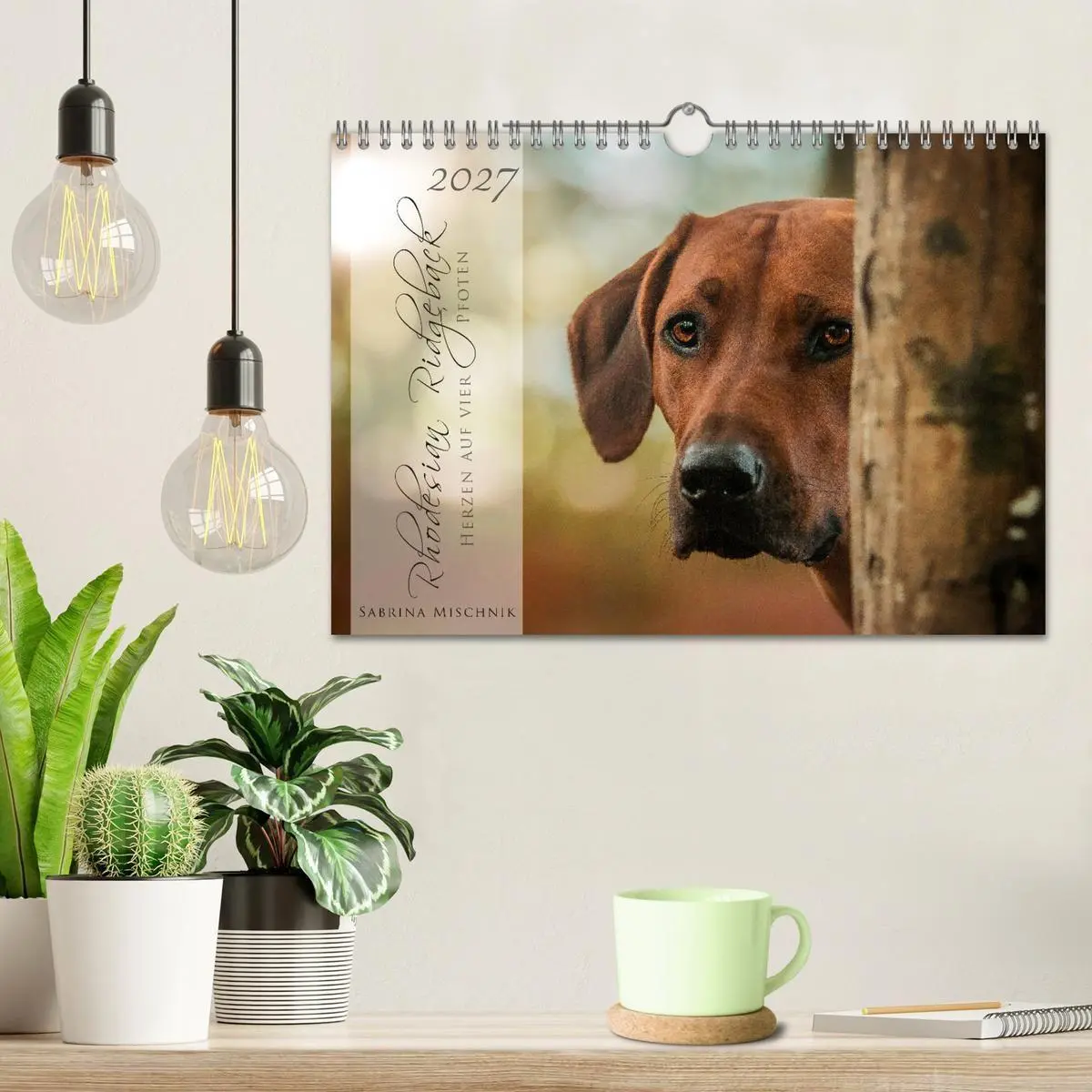 Bild: 9783569778382 | Rhodesian Ridgeback - Herzen auf vier Pfoten (Wandkalender 2027 DIN...