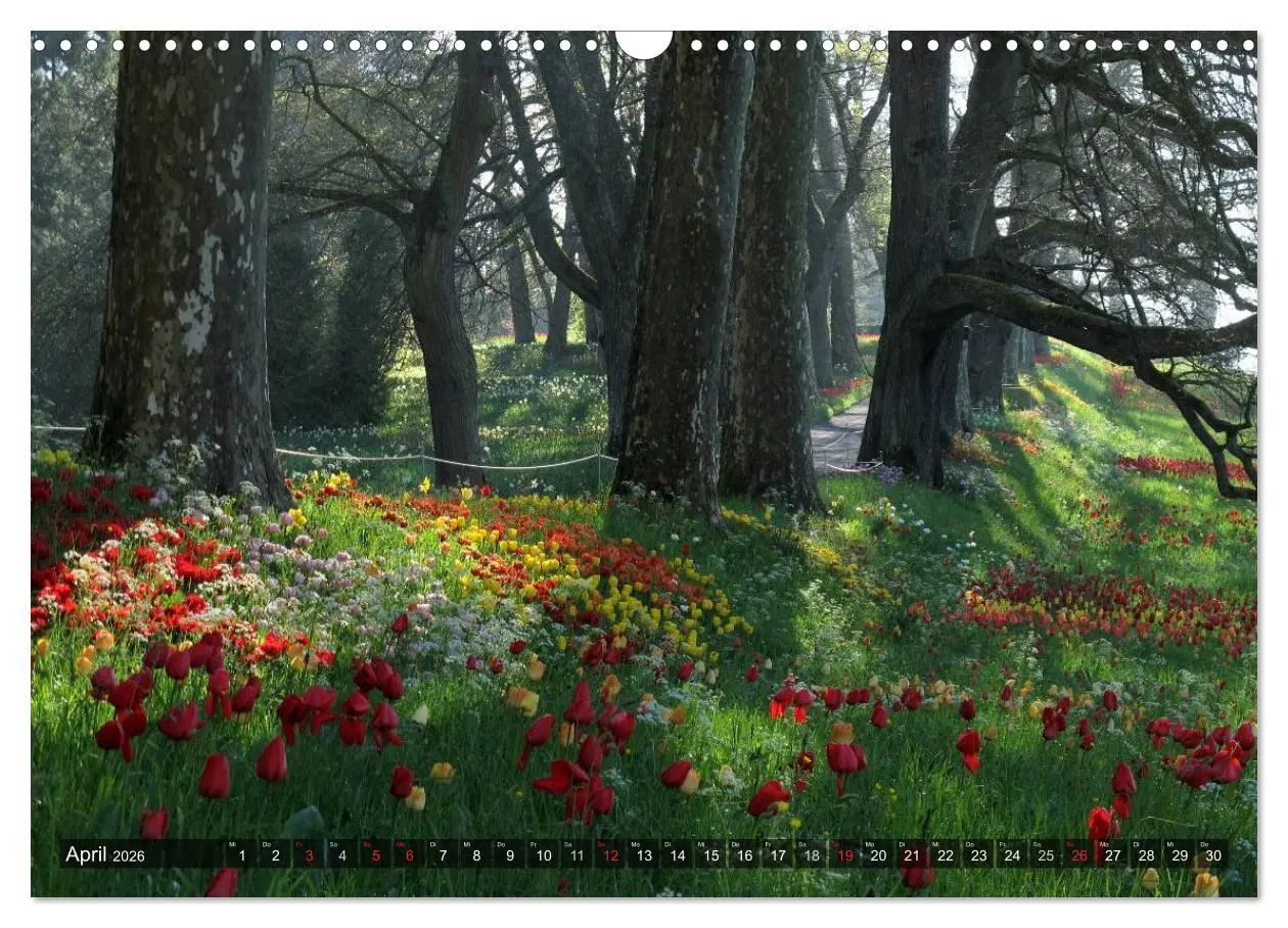 Bild: 9783516128482 | Zauberhafter Bodensee (Wandkalender 2026 DIN A3 quer), CALVENDO...