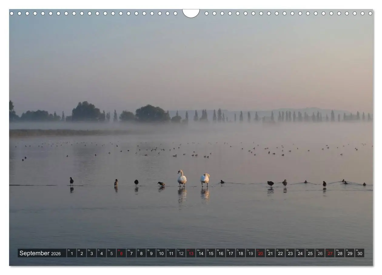 Bild: 9783516128482 | Zauberhafter Bodensee (Wandkalender 2026 DIN A3 quer), CALVENDO...
