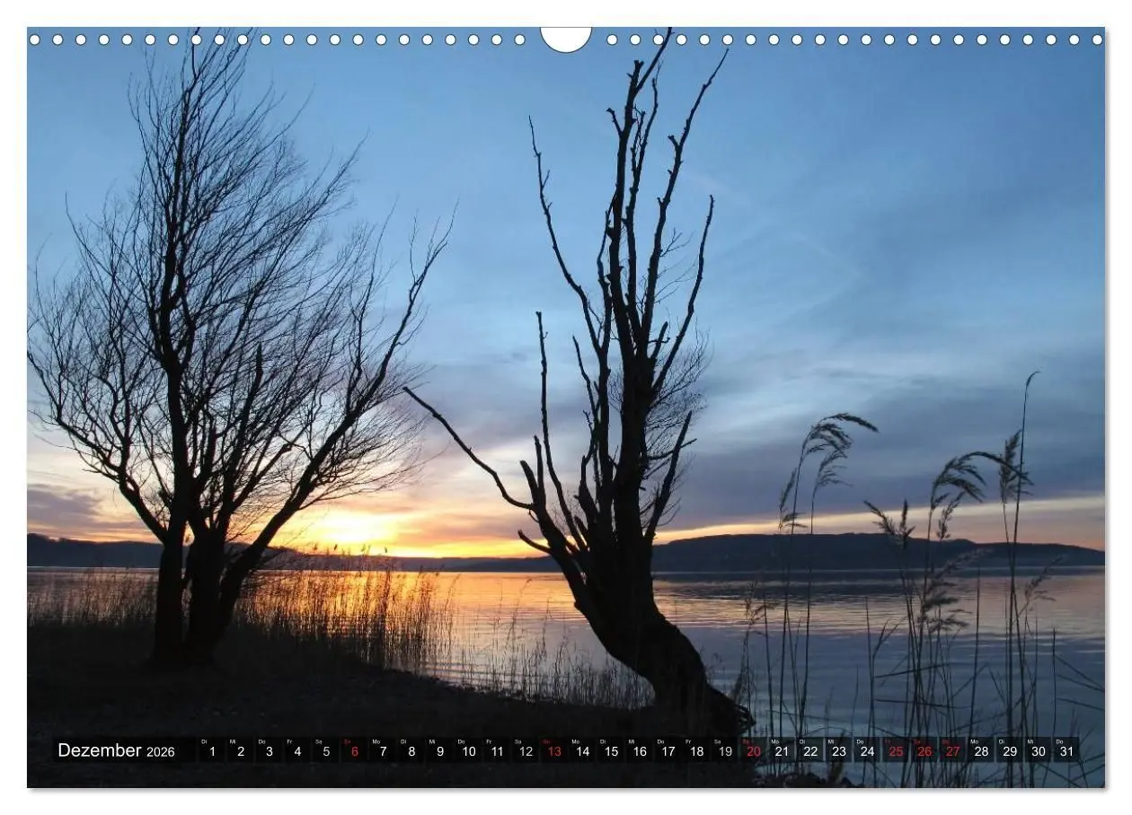 Bild: 9783516128482 | Zauberhafter Bodensee (Wandkalender 2026 DIN A3 quer), CALVENDO...