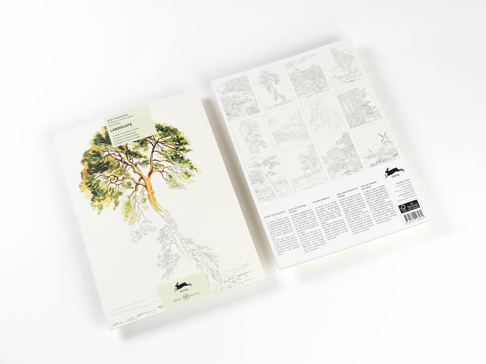 Cover: 9789460098482 | Landscape | Artists' Colouring Book | Pepin Van Roojen | Taschenbuch