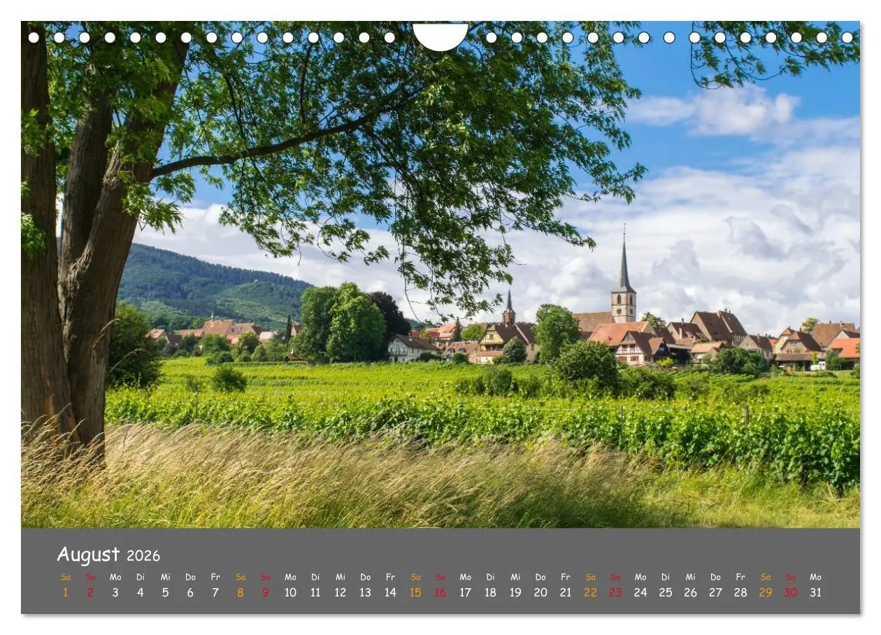 Bild: 9783516048582 | Eindrücke aus dem Elsass (Wandkalender 2026 DIN A4 quer), CALVENDO...