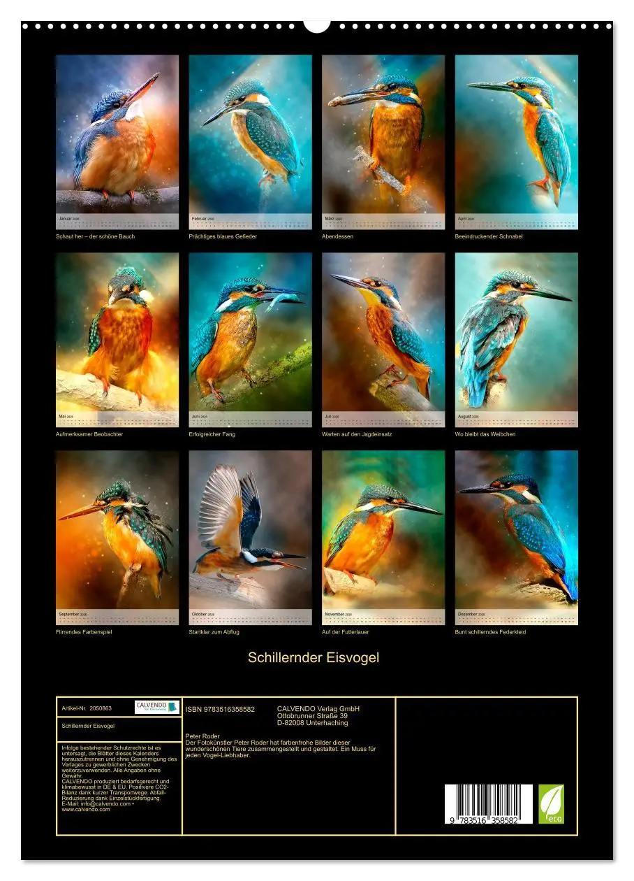 Bild: 9783516358582 | Schillernder Eisvogel (hochwertiger Premium Wandkalender 2026 DIN...