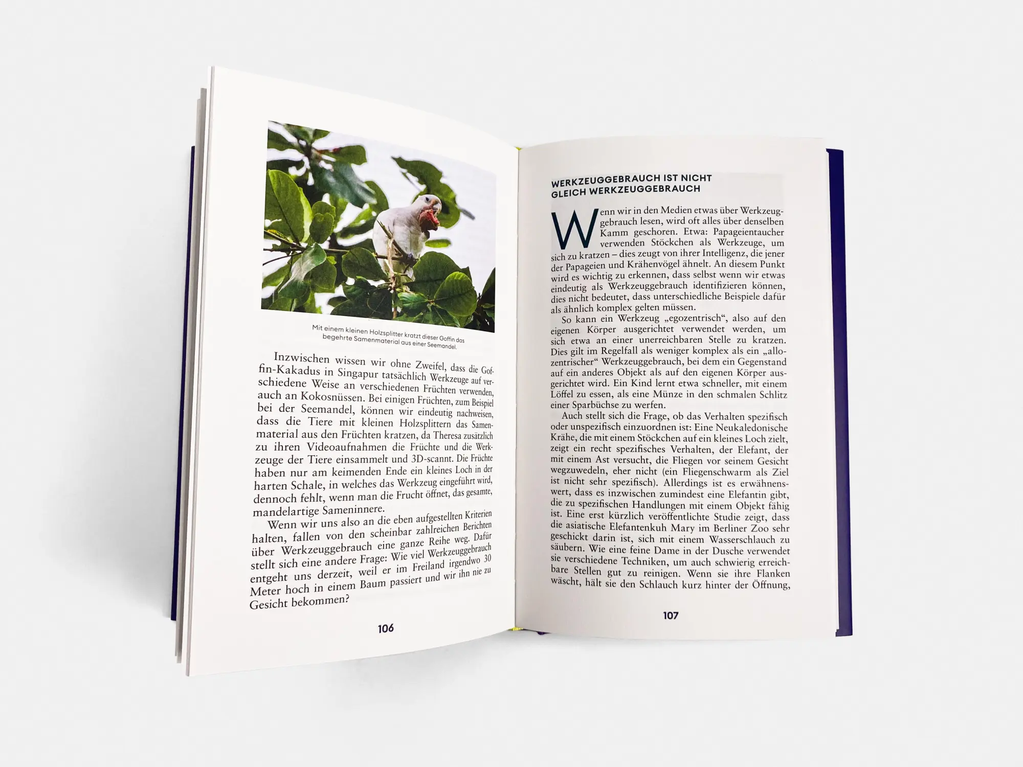 Bild: 9783710608582 | Der Erfindergeist der Tiere | Werkzeuge, Ideen und Innovationen | Buch