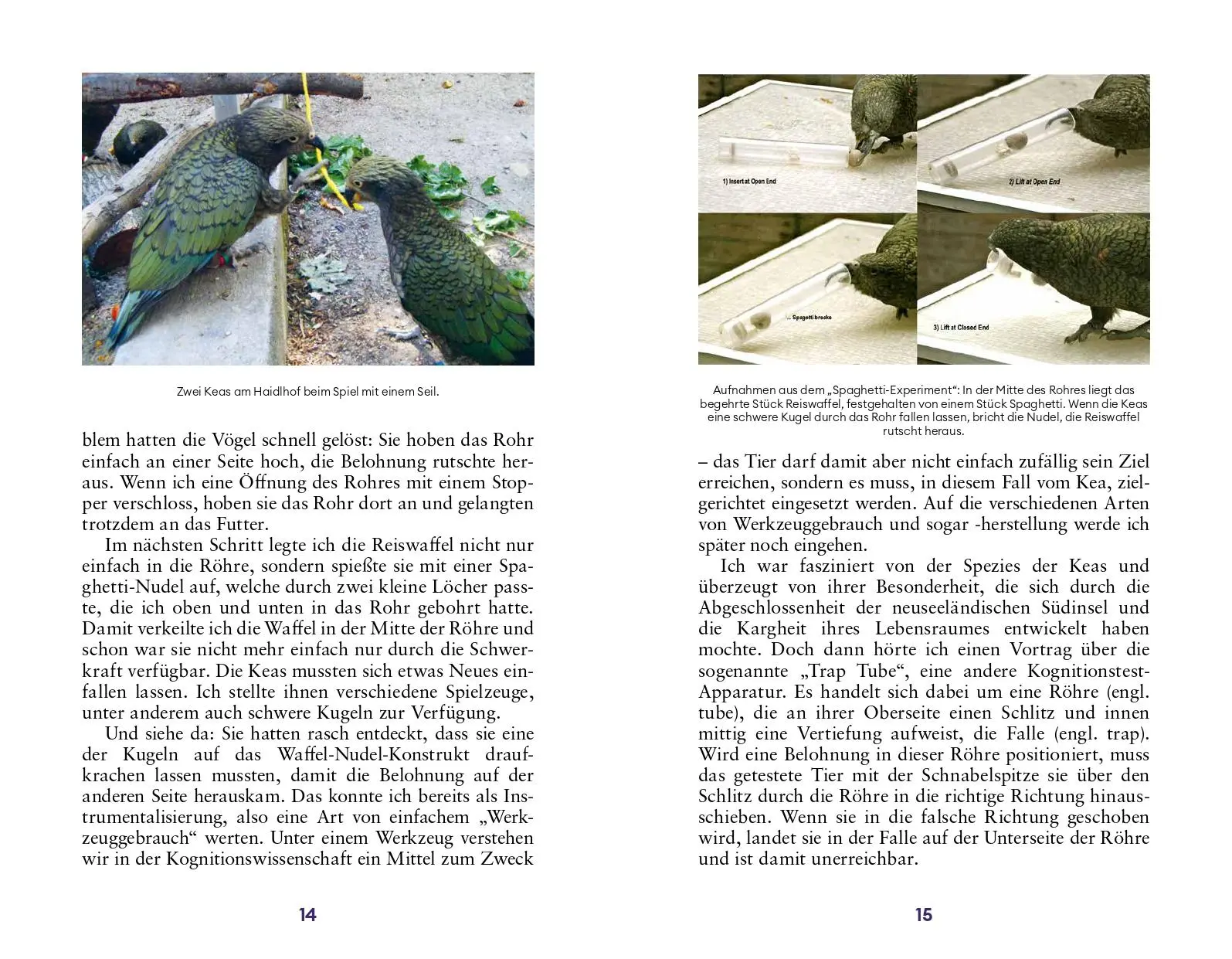 Bild: 9783710608582 | Der Erfindergeist der Tiere | Werkzeuge, Ideen und Innovationen | Buch