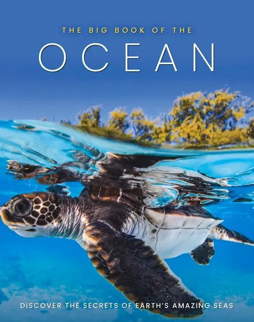 Cover: 9781912918782 | The Big Book of the Ocean | Dan Peel | Buch | Gebunden | Englisch