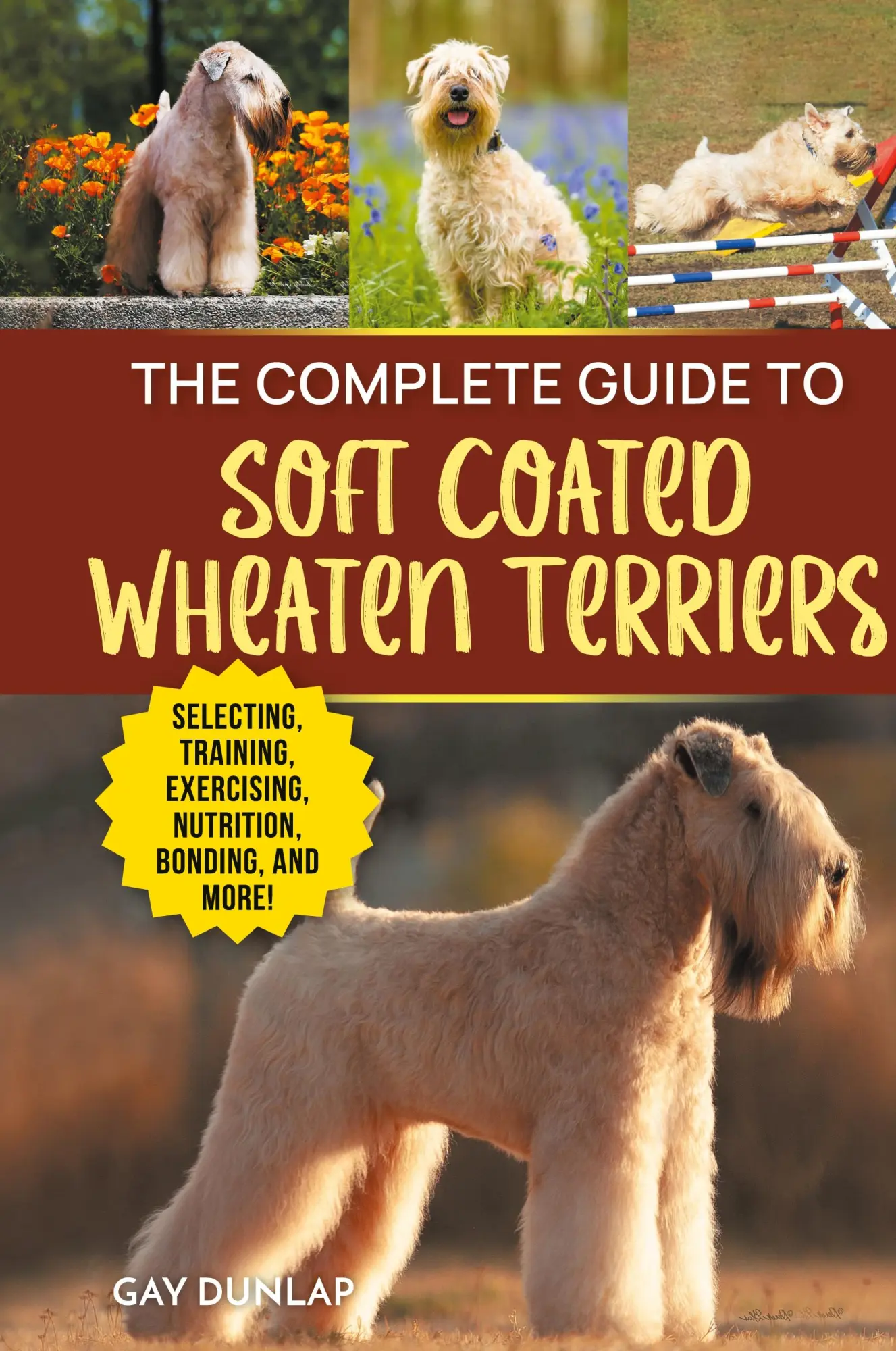Cover: 9781954288782 | The Complete Guide to Soft Coated Wheaten Terriers | Gay Dunlap | Buch