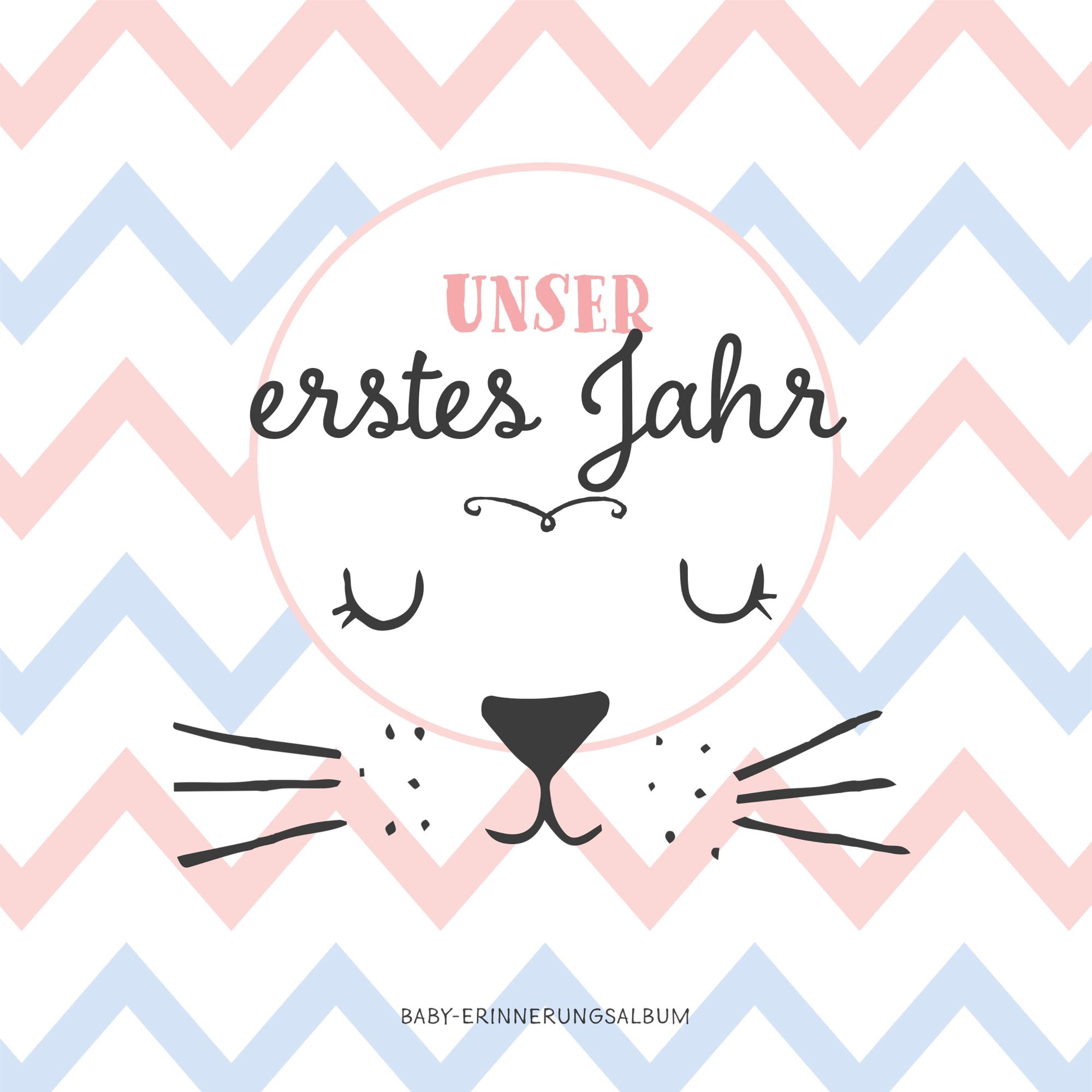 Cover: 9783964438782 | Babyalbum: Unser erstes Jahr. Babytagebuch in rosa und blau zum...