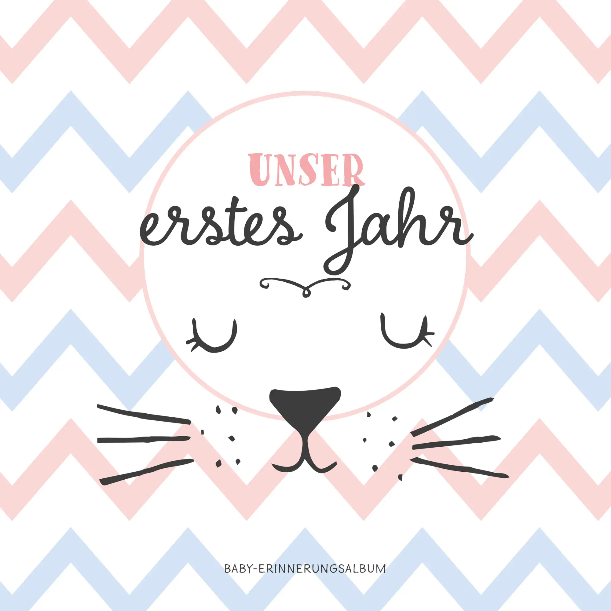 Cover: 9783964438782 | Babyalbum: Unser erstes Jahr. Babytagebuch in rosa und blau zum...