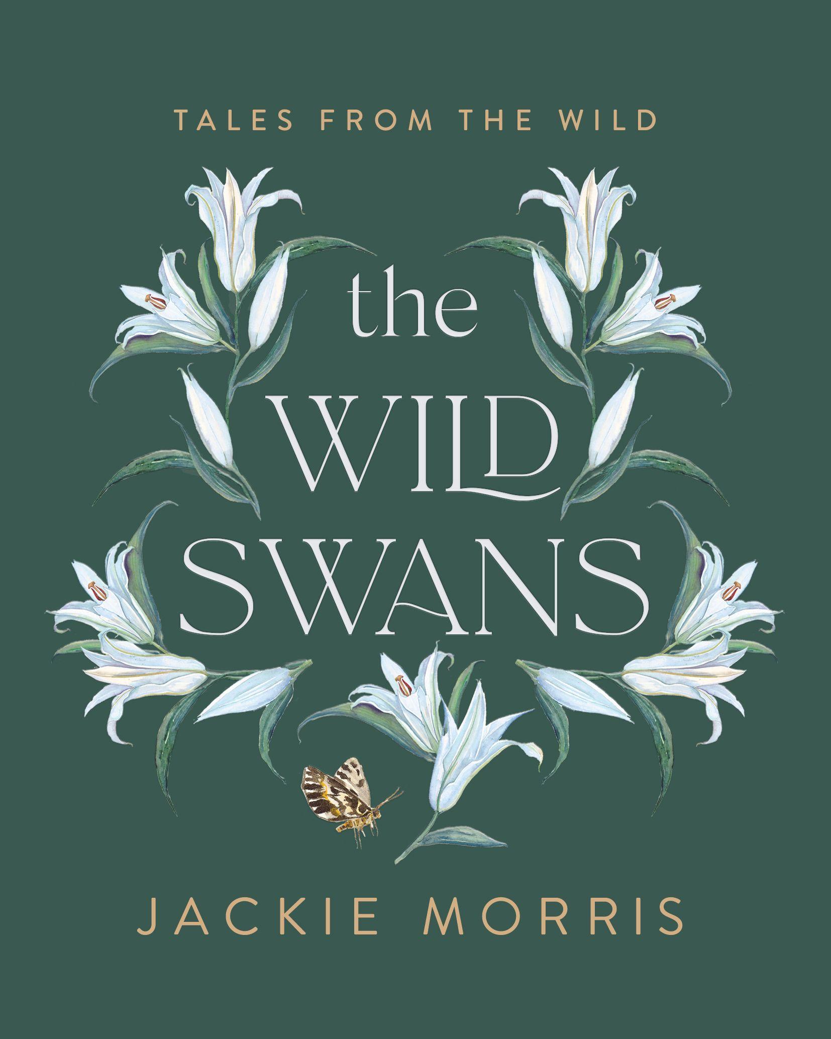 Cover: 9781783528882 | Wild Swans | Jackie Morris | Buch | Gebunden | Englisch | 2022