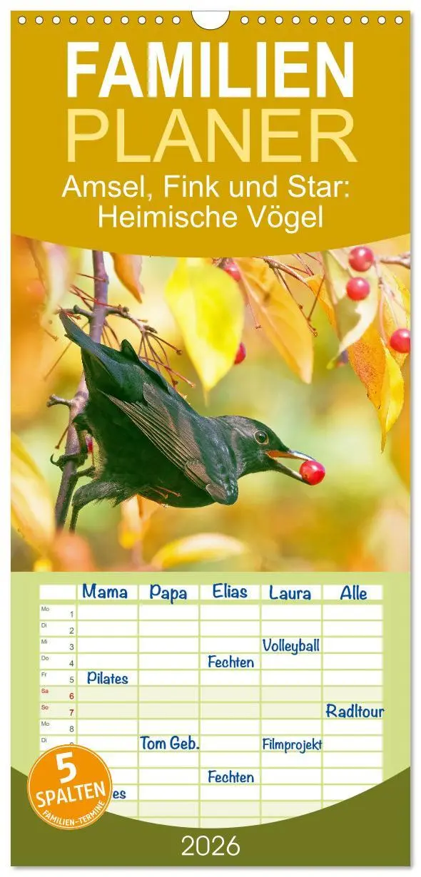 Cover: 9783516498882 | Familienplaner 2026 - Amsel, Fink und Star: Heimische Vögel mit 5...