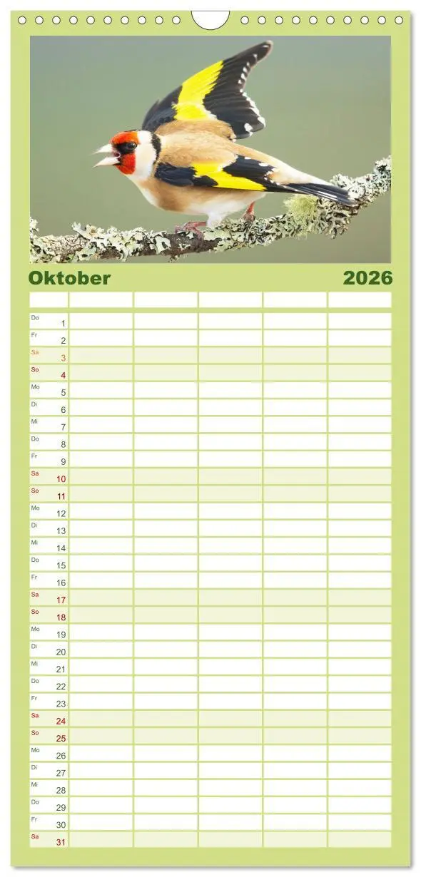Bild: 9783516498882 | Familienplaner 2026 - Amsel, Fink und Star: Heimische Vögel mit 5...