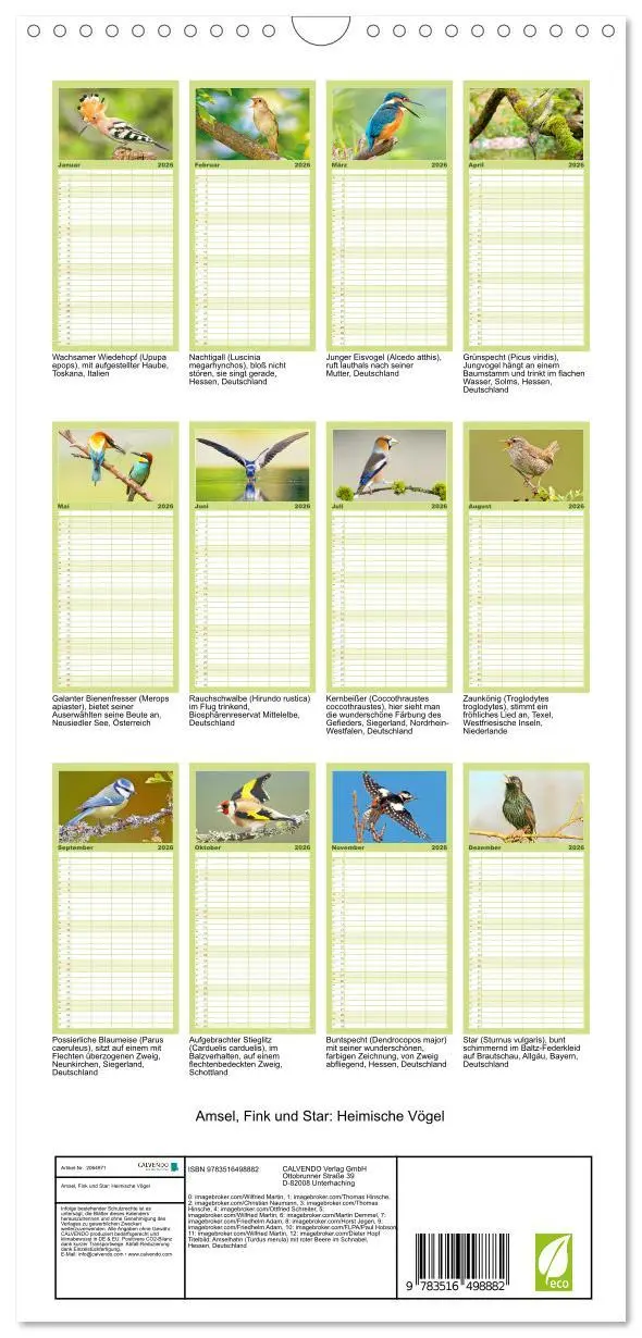 Bild: 9783516498882 | Familienplaner 2026 - Amsel, Fink und Star: Heimische Vögel mit 5...