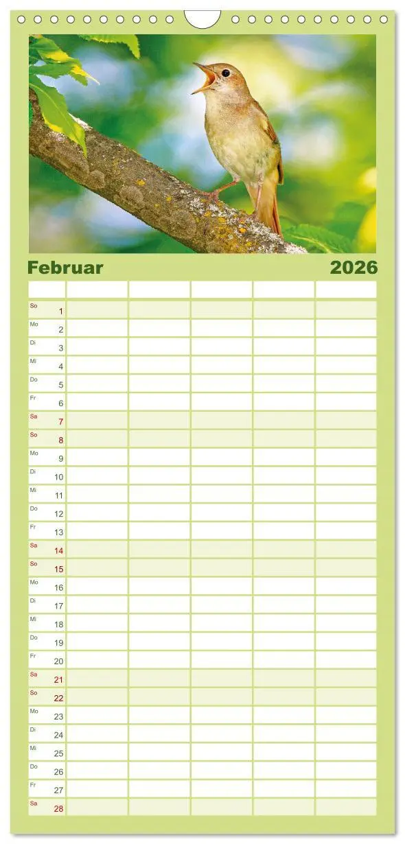 Bild: 9783516498882 | Familienplaner 2026 - Amsel, Fink und Star: Heimische Vögel mit 5...