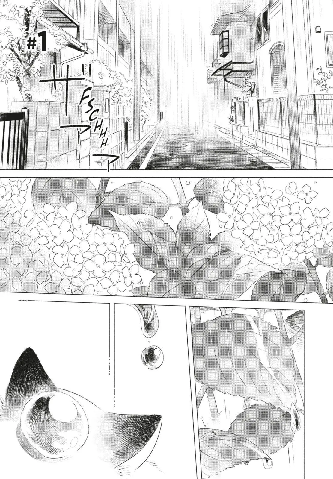 Bild: 9783551808882 | Fairy Cat 1 | Hisa Takano | Taschenbuch | Fairy Cat | 160 S. | Deutsch