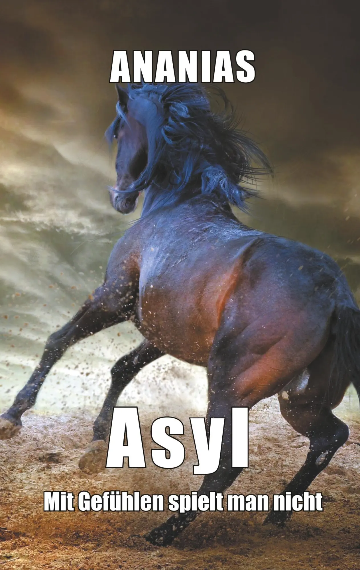 Cover: 9783750418882 | Asyl | Mit Gefühlen spielt man nicht | Ananias (u. a.) | Taschenbuch