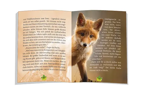 Bild: 9783869178882 | Das Märchen vom Wunder Wald | Ulrich Peters | Broschüre | 32 S. | 2021