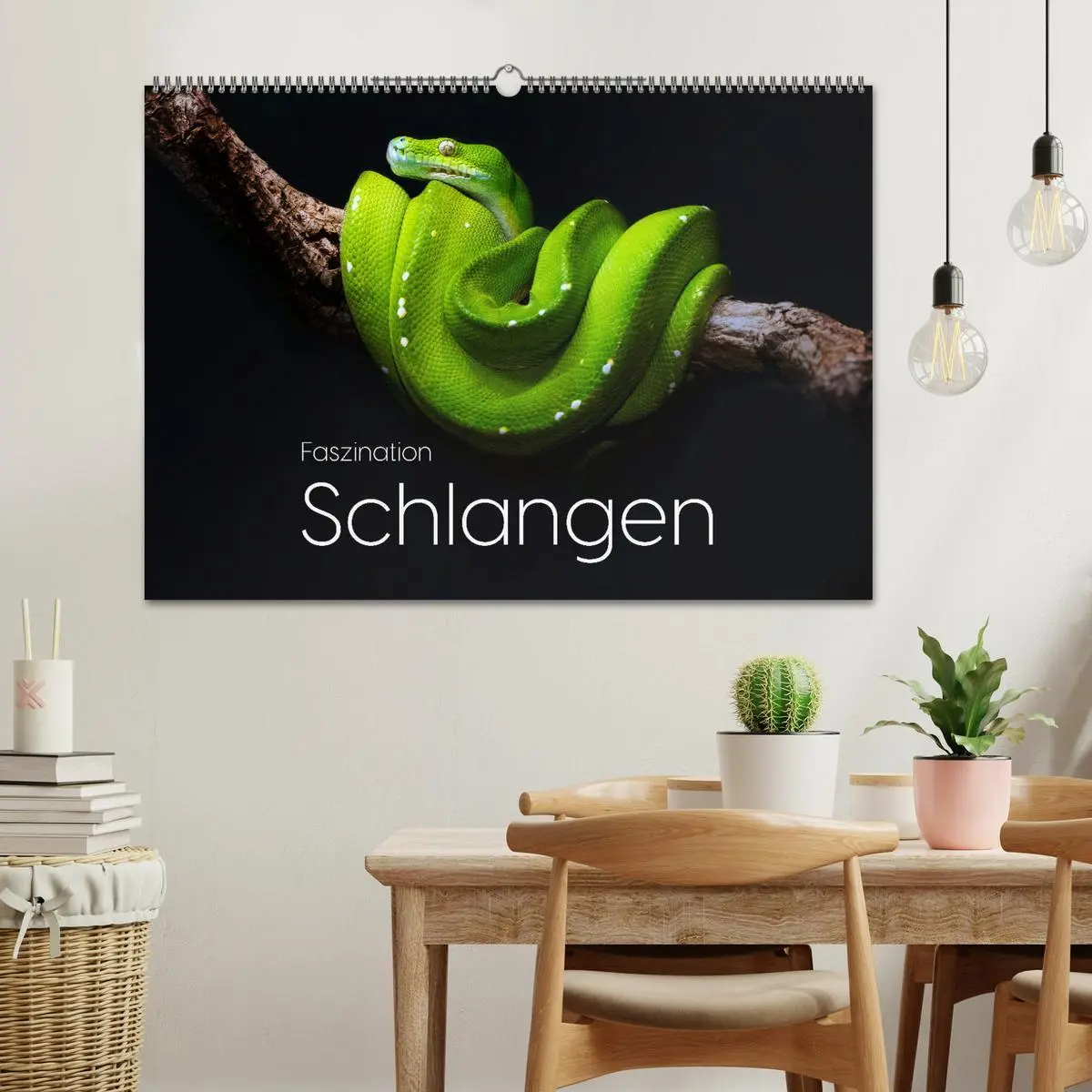 Bild: 9783457538982 | Faszination Schlangen (Wandkalender 2026 DIN A2 quer), CALVENDO...