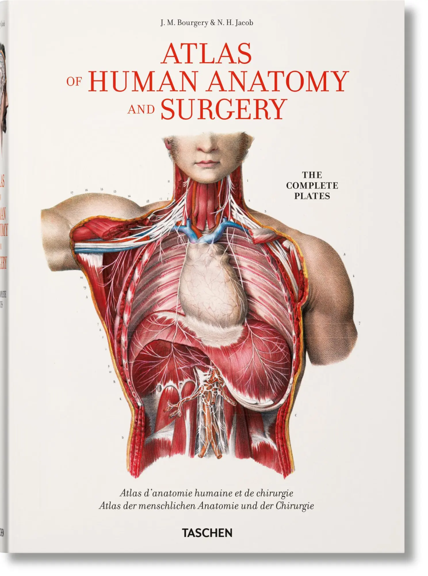 Cover: 9783836568982 | Bourgery. Atlas of Human Anatomy and Surgery | Minor (u. a.) | Buch