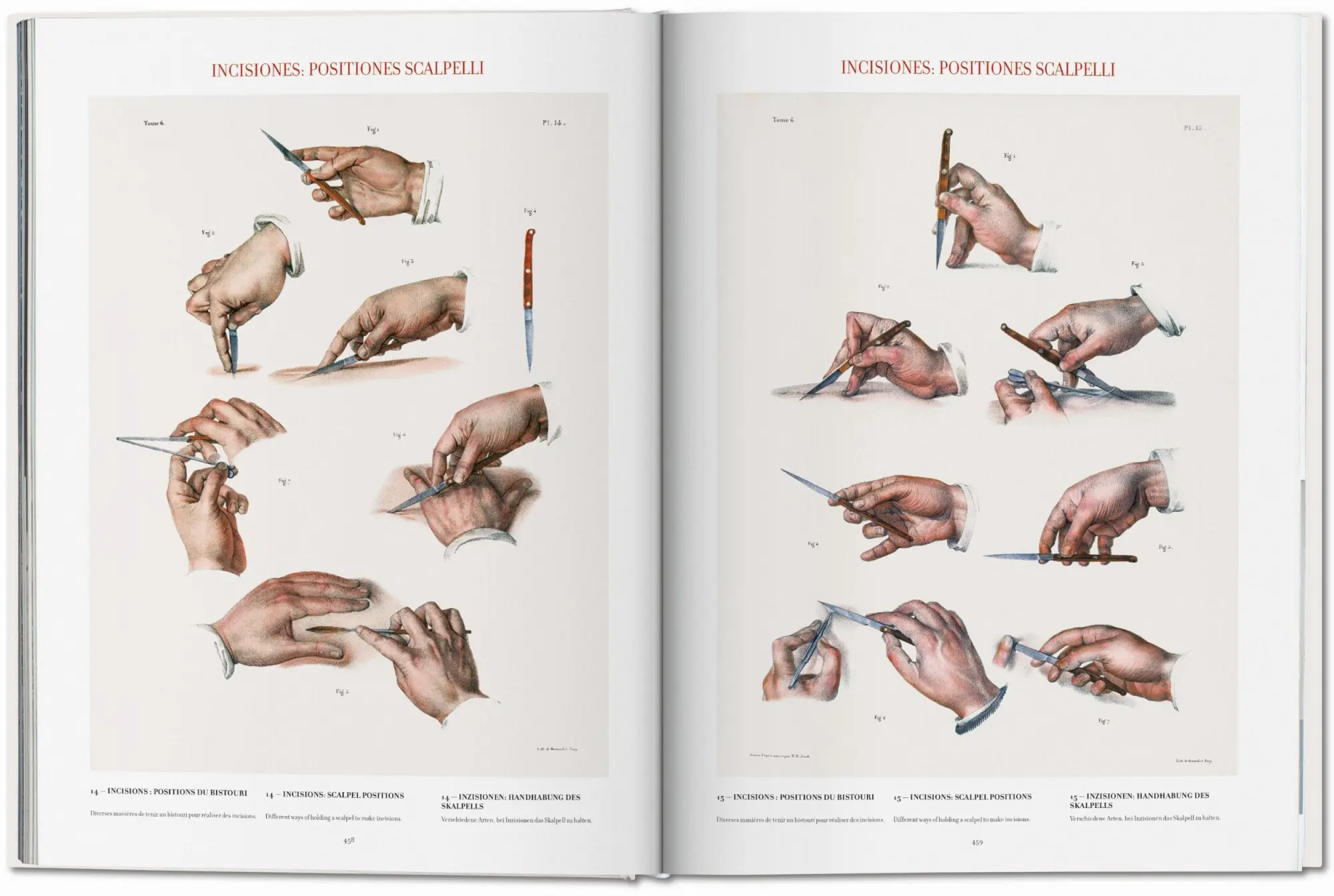 Bild: 9783836568982 | Bourgery. Atlas of Human Anatomy and Surgery | Minor (u. a.) | Buch