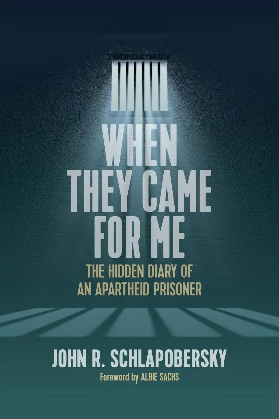 Cover: 9781789209082 | When They Came for Me | The Hidden Diary of an Apartheid Prisoner