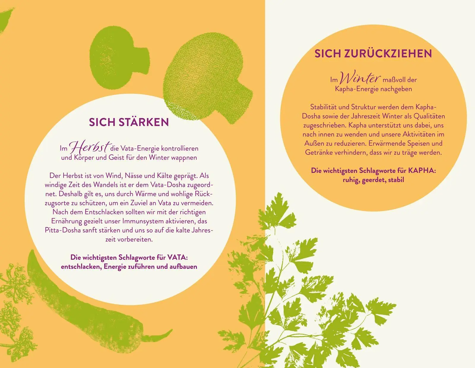 Bild: 9783426659182 | Ayurveda für zuhause | Andreas Hollard | Taschenbuch | 256 S. | 2023