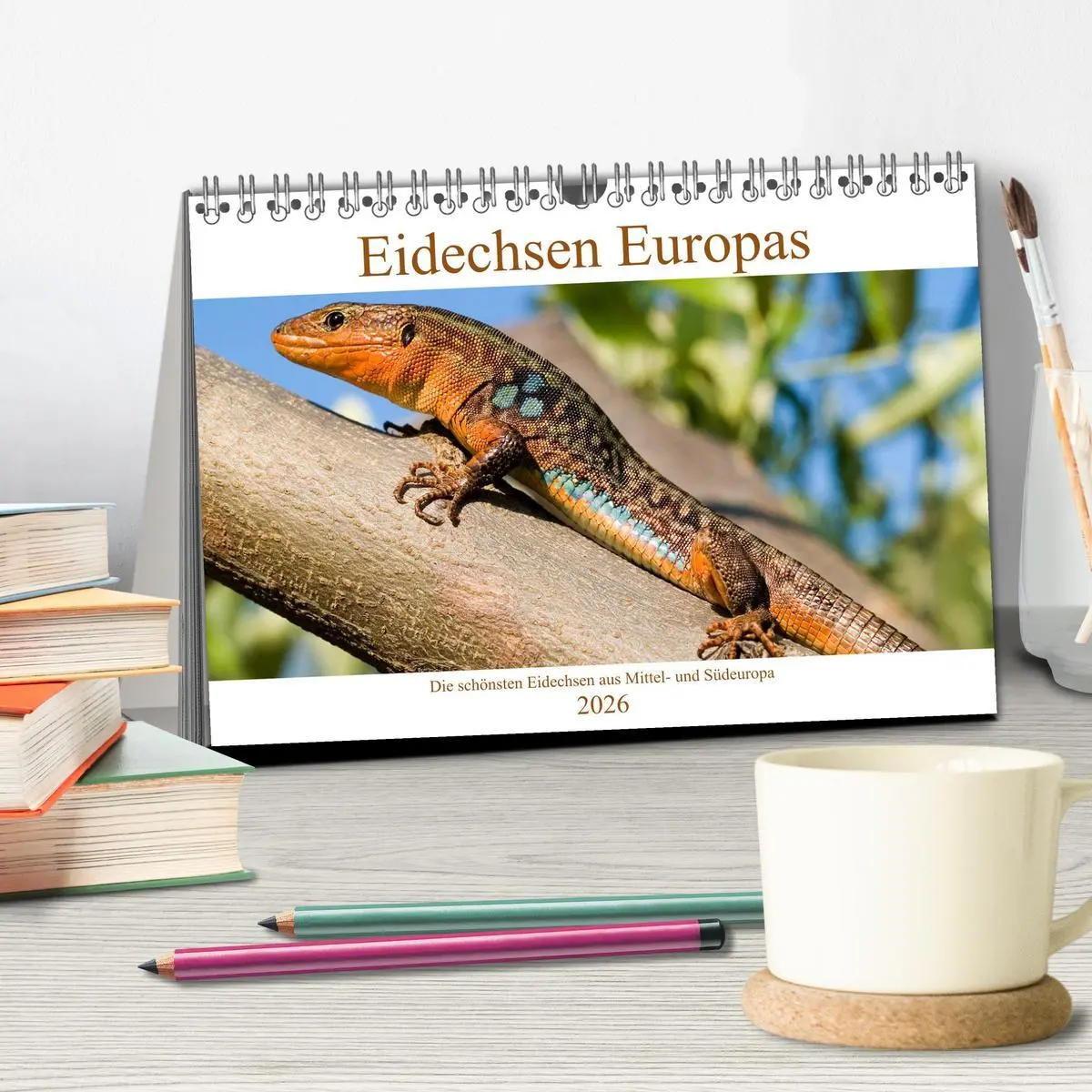 Bild: 9783457659182 | Eidechsen Europas (Tischkalender 2026 DIN A5 quer), CALVENDO...
