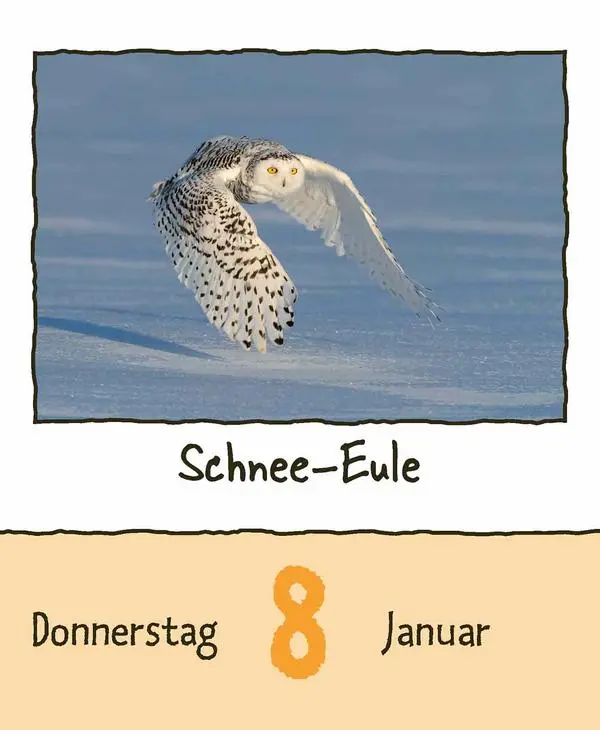 Bild: 9783731889182 | Tierisch unterwegs 2026 | Verlag Korsch | Kalender | 328 S. | Deutsch