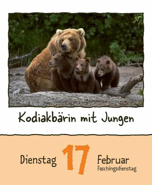 Bild: 9783731889182 | Tierisch unterwegs 2026 | Verlag Korsch | Kalender | 328 S. | Deutsch