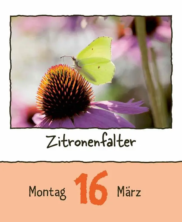 Bild: 9783731889182 | Tierisch unterwegs 2026 | Verlag Korsch | Kalender | 328 S. | Deutsch