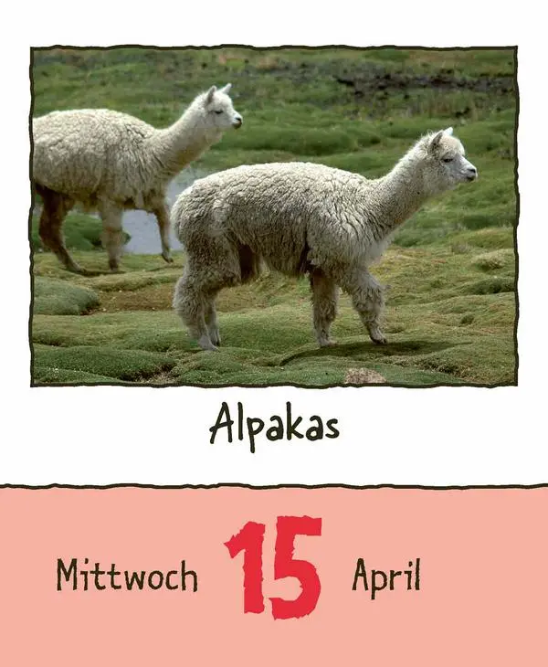 Bild: 9783731889182 | Tierisch unterwegs 2026 | Verlag Korsch | Kalender | 328 S. | Deutsch