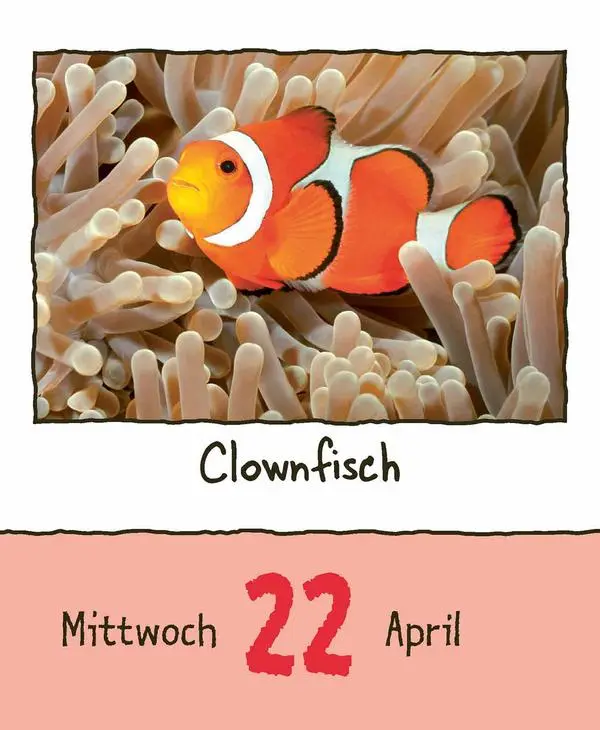 Bild: 9783731889182 | Tierisch unterwegs 2026 | Verlag Korsch | Kalender | 328 S. | Deutsch
