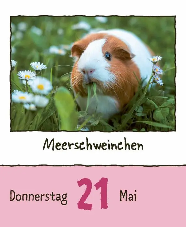 Bild: 9783731889182 | Tierisch unterwegs 2026 | Verlag Korsch | Kalender | 328 S. | Deutsch