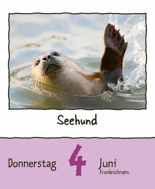 Bild: 9783731889182 | Tierisch unterwegs 2026 | Verlag Korsch | Kalender | 328 S. | Deutsch