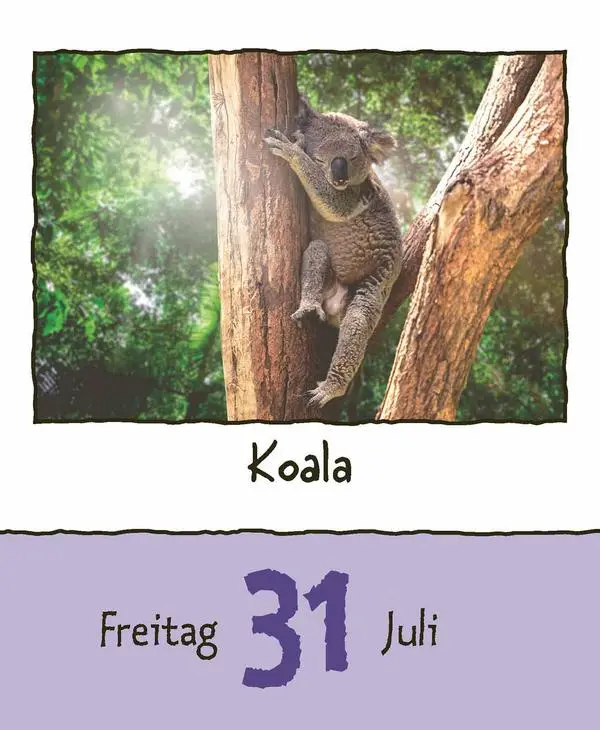 Bild: 9783731889182 | Tierisch unterwegs 2026 | Verlag Korsch | Kalender | 328 S. | Deutsch