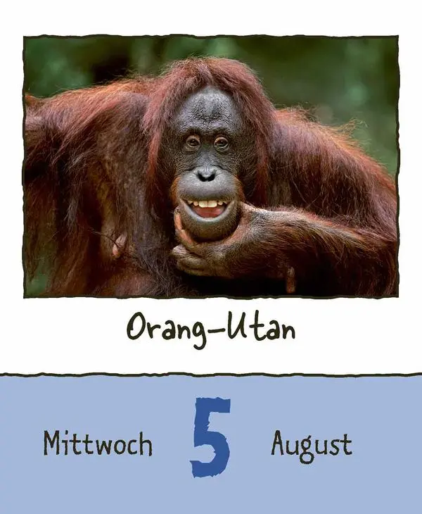 Bild: 9783731889182 | Tierisch unterwegs 2026 | Verlag Korsch | Kalender | 328 S. | Deutsch