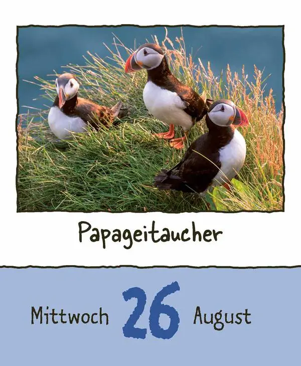 Bild: 9783731889182 | Tierisch unterwegs 2026 | Verlag Korsch | Kalender | 328 S. | Deutsch