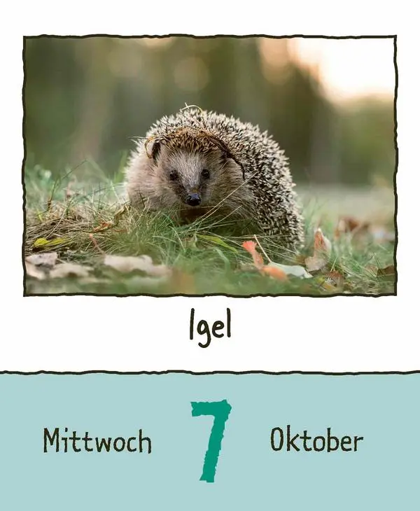 Bild: 9783731889182 | Tierisch unterwegs 2026 | Verlag Korsch | Kalender | 328 S. | Deutsch