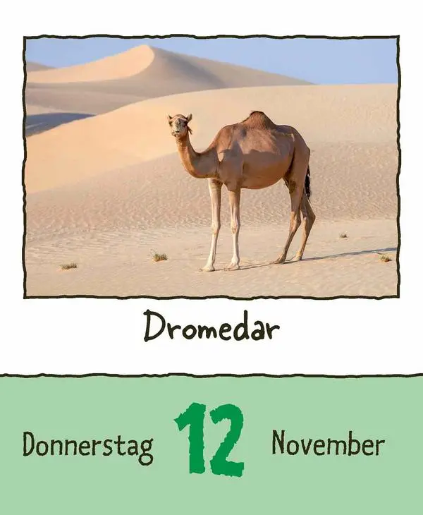Bild: 9783731889182 | Tierisch unterwegs 2026 | Verlag Korsch | Kalender | 328 S. | Deutsch