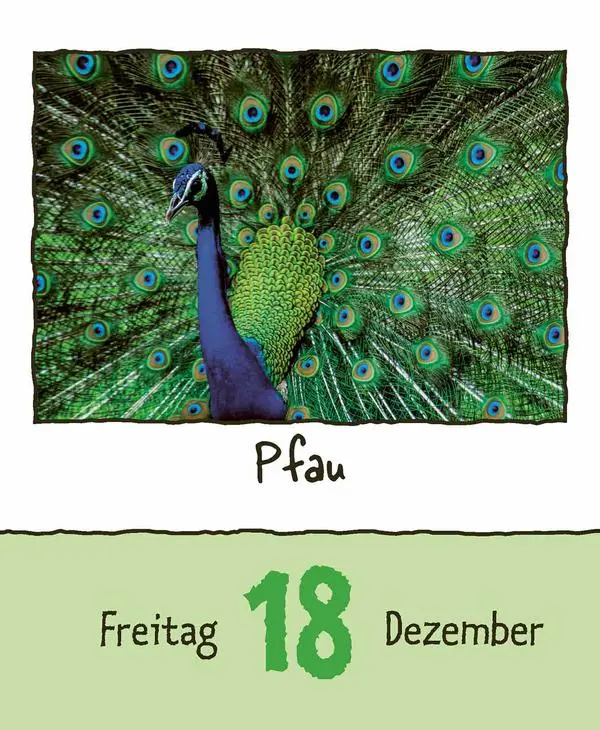 Bild: 9783731889182 | Tierisch unterwegs 2026 | Verlag Korsch | Kalender | 328 S. | Deutsch