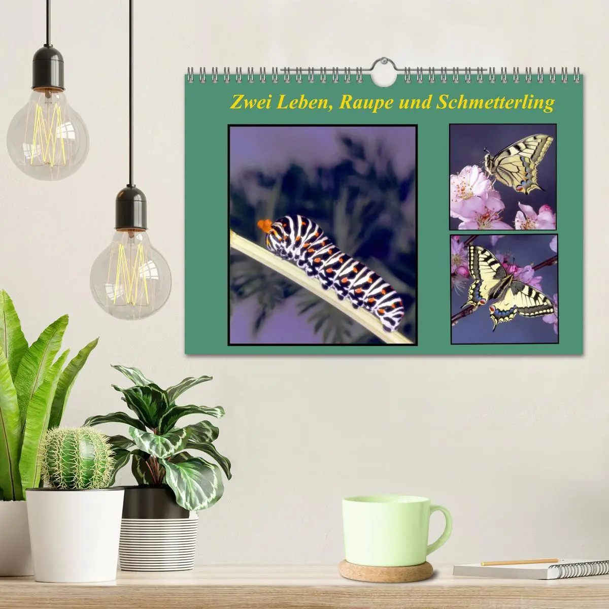Bild: 9783457959282 | Zwei Leben, Raupe und Schmetterling (Wandkalender 2026 DIN A4...