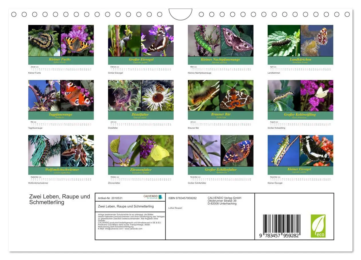 Bild: 9783457959282 | Zwei Leben, Raupe und Schmetterling (Wandkalender 2026 DIN A4...