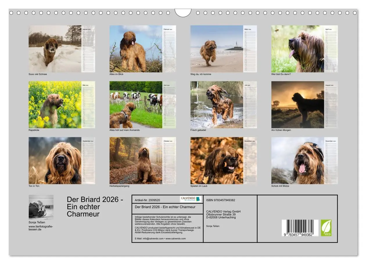 Bild: 9783457949382 | Der Briard 2026 - Ein echter Charmeur (Wandkalender 2026 DIN A3...