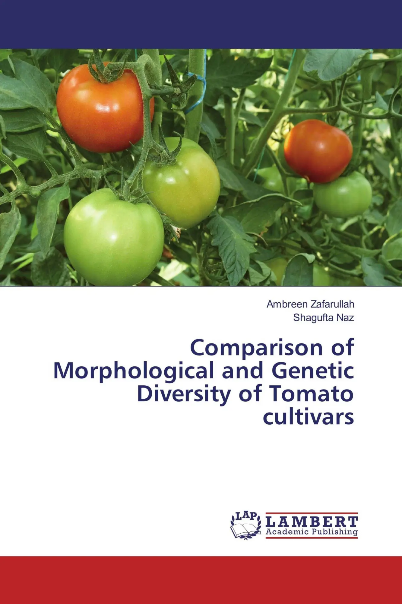 Cover: 9783659699382 | Comparison of Morphological and Genetic Diversity of Tomato cultivars