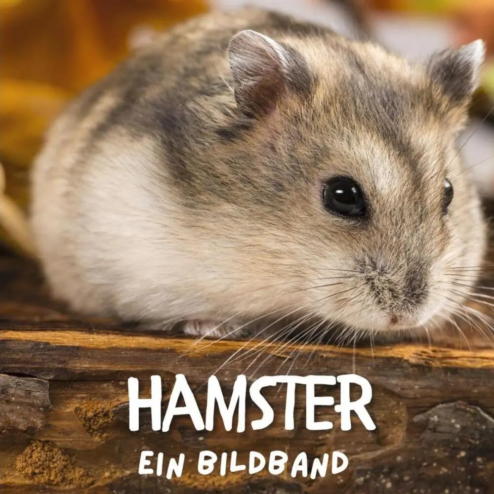 Cover: 9783750509382 | Hamster | Ein Bildband | Bibi Hübsch | Taschenbuch | 42 S. | Deutsch
