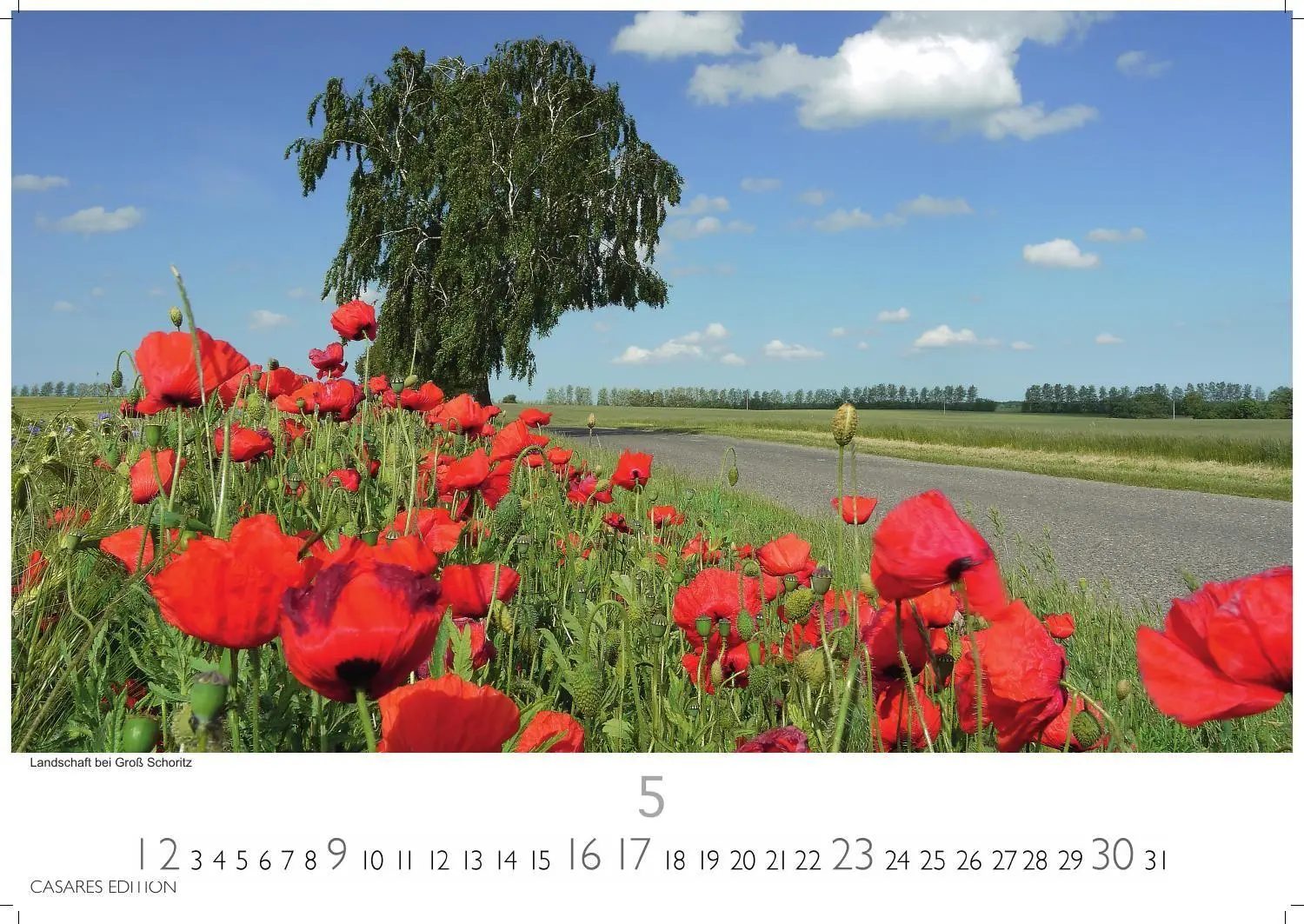 Bild: 9781835249482 | Rügen Kalender 2027 - Wandkalender Fotokalender Deutschland 24x35cm...
