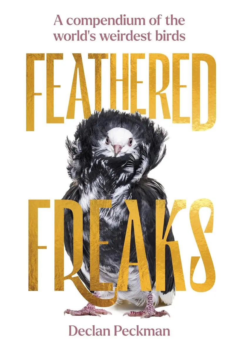 Cover: 9781923049482 | Feathered Freaks | A compendium of the world's weirdest birds | Buch